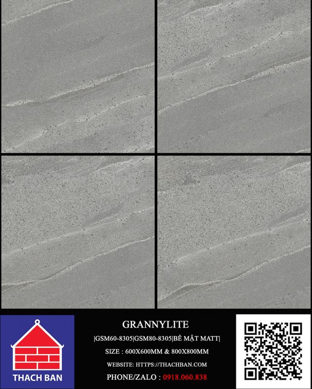 GSM60-8305 Và GSM80-8305