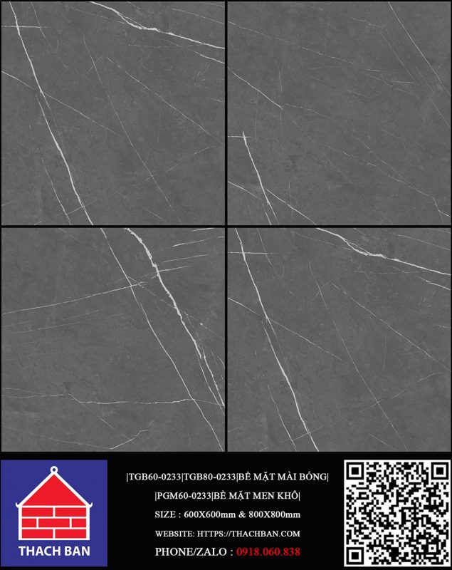 QR CODE PGM-TGB60-0233