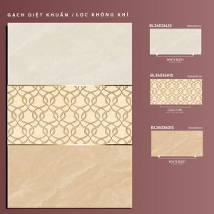 BL36036Lis-BL36036His-BL36036Dis