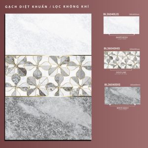 BL36040Lis-BL36040His-BL36040dis