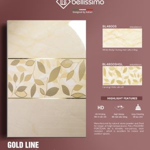 BL48005 and BL48004HGL