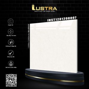 INST1201200007
