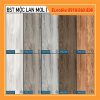 eurotile BST MOC LAN mol I