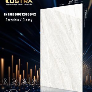INEMB0601200042
