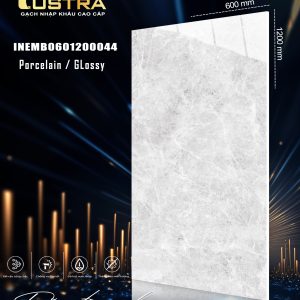 INEMB0601200044