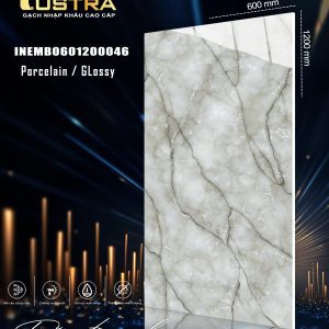 INEMB0601200046