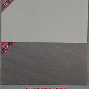 lgm36-0280 LGM36-0281