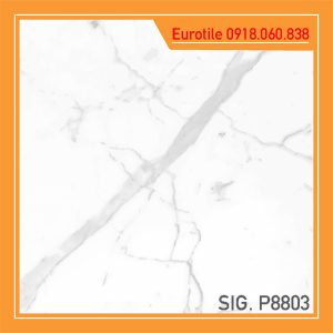 phong luu Sig-P-8803