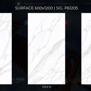 thuy phong face sig p61205