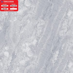 tgb80-0291
