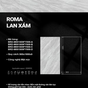 Roma Lan Xám-BRD-M091809FY008