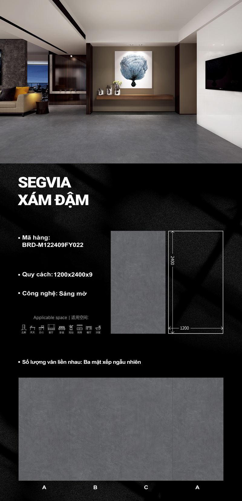 Segvia xám đậm M122409FY022