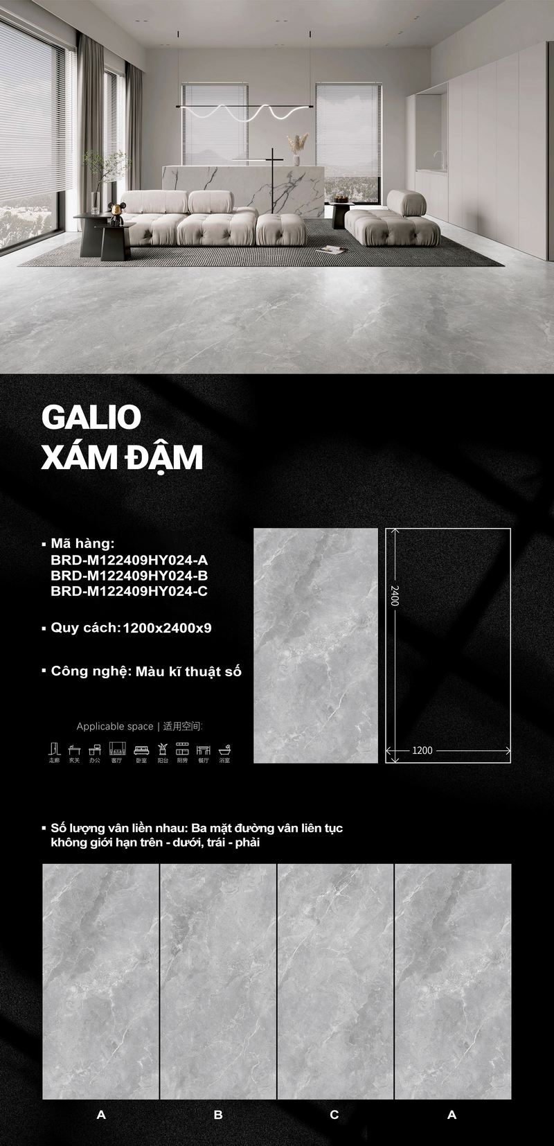 Galio Xám đậm M122409HY024