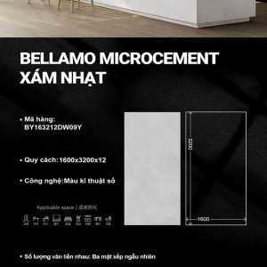 Xám Nhạt BRD-BY163212DW09Y