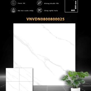 VDN0800800025
