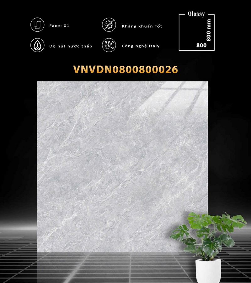 VDN0800800026