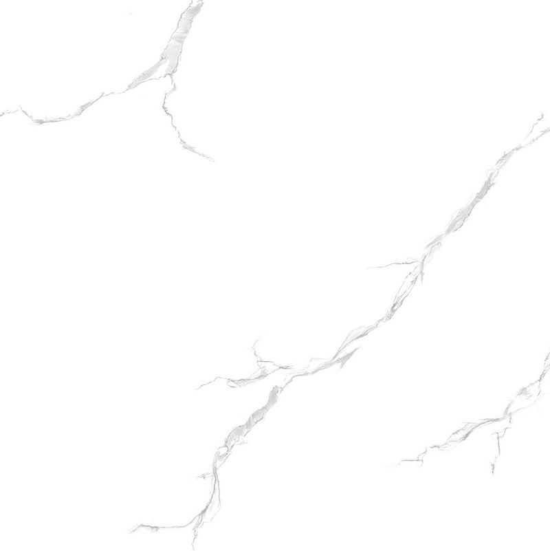 VNAMY0800800001
