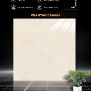 VNAMY0800800004