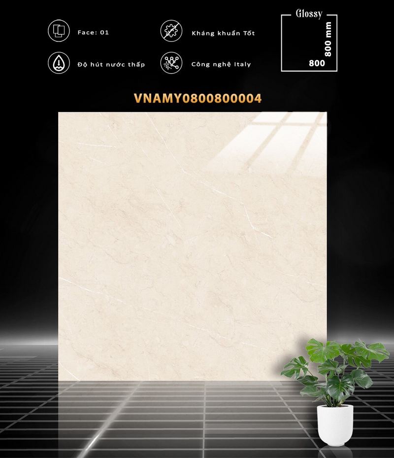 VNAMY0800800004
