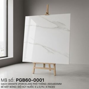 PGB60-0001