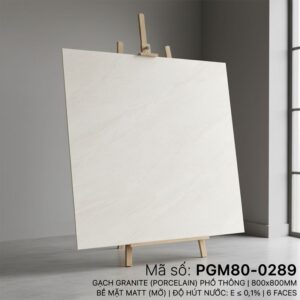 PGM80-0289